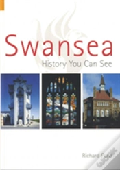 Capa do artigo Swansea