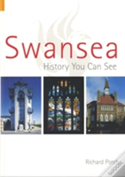 Capa do artigo Swansea