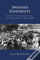 Swansea University