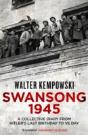 Swansong 1945 - Preview