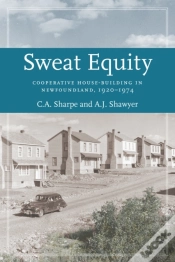 Capa do artigo Sweat Equity