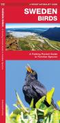 Sweden Birds - Preview