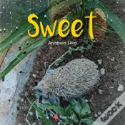 Capa do artigo Sweet 