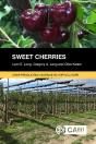 Sweet Cherries - Preview