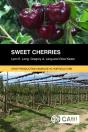 Sweet Cherries - Preview