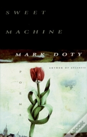 Capa do artigo Sweet Machine