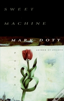 Capa do artigo Sweet Machine