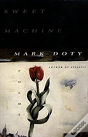 Capa do artigo Sweet Machine