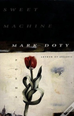 Capa do artigo Sweet Machine