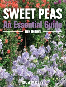 Capa do artigo Sweet Peas