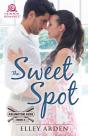Sweet Spot - Preview
