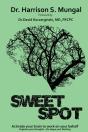 Sweet Spot - Preview