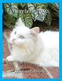 Sweetest Purrs, Spicy - Preview