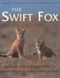 Swift Fox - Preview
