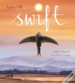 Capa do artigo Swift