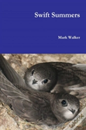 Capa do artigo Swift Summers