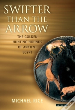 Capa do artigo Swifter Than The Arrow