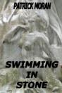 Swimming In Stone - Preview