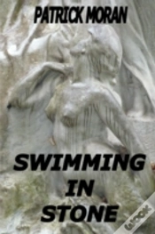 Capa do artigo Swimming In Stone