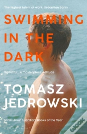 Capa do artigo Swimming In The Dark
