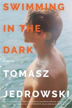 Capa do artigo Swimming In The Dark