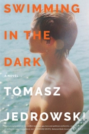 Capa do artigo Swimming In The Dark