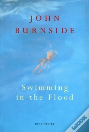 Capa do artigo Swimming In The Flood