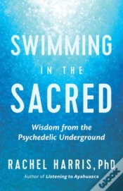 Capa do artigo Swimming In The Sacred