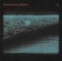 Swimming Static - Vinil - Preview