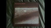 Capa do artigo Swimming Static - Vinil