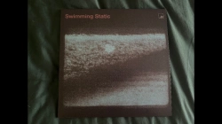 Capa do artigo Swimming Static - Vinil
