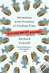 Swimming With Piranhas At Feeding Time
