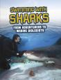 Swimming With Sharks - Preview