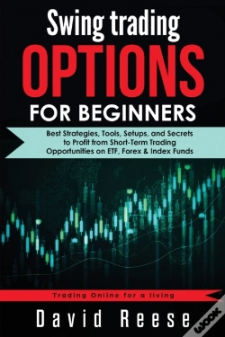 Capa do artigo Swing Trading Options For Beginners: Bes