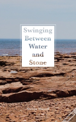Capa do artigo Swinging Between Water And Stone
