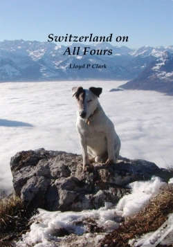 Capa do artigo Switzerland On All Fours