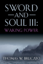 Sword And Soul Iii - Preview