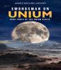 Swordsman On Unium - Preview