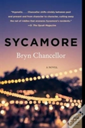 Sycamore