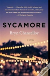 Capa do artigo Sycamore