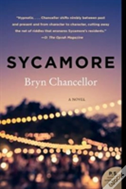 Capa do artigo Sycamore