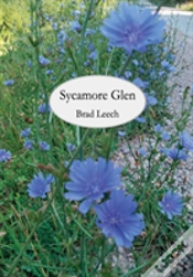 Capa do artigo Sycamore Glen