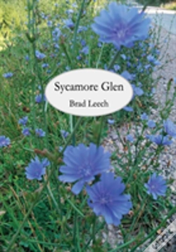 Capa do artigo Sycamore Glen