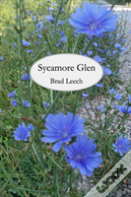 Sycamore Glen