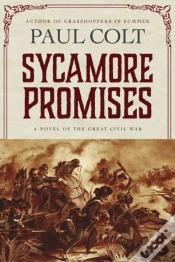 Capa do artigo Sycamore Promises
