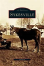 Sykesville - Preview