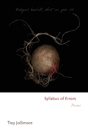 Syllabus Of Errors - Preview