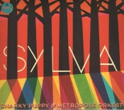 Capa do artigo Sylva - CD