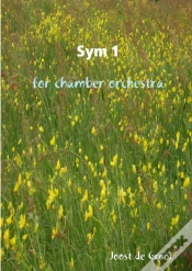 Capa do artigo Sym 1 For Chamber Orchestra