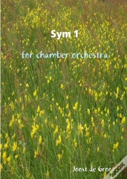 Capa do artigo Sym 1 For Chamber Orchestra